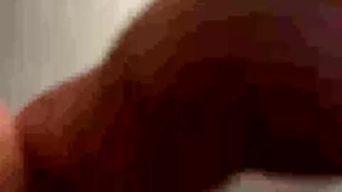 PiedPiper online show from 05/03/26, 11:27