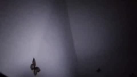 Ekspansion online show from 01/08/26, 04:37