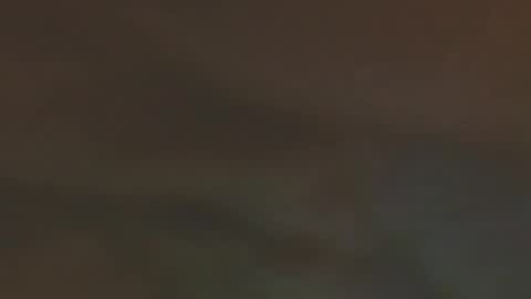 ela_3611 online show from 02/01/26, 04:33