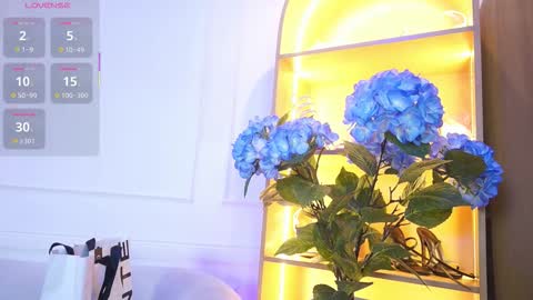 Elasummeer online show from 11/28/25, 11:57