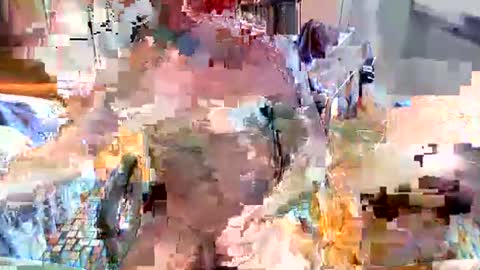 elbasca online show from 02/18/26, 12:12