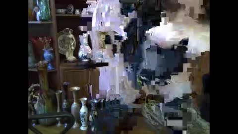 ElenaZed online show from 02/08/26, 08:29