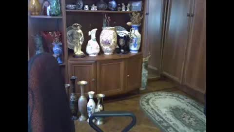 ElenaZed online show from 02/13/26, 08:10