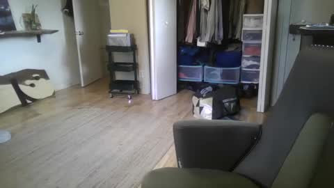 Snapshot of elephantfox chatting on 12/26/24, 04:58 fox online show from 12/26/24, 04:58