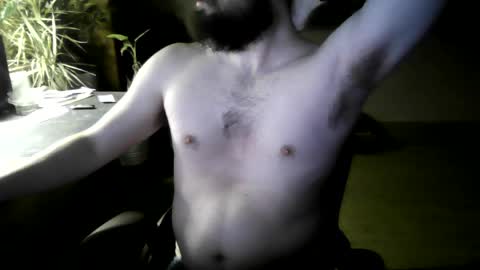 Snapshot of elephantfox chatting on 04/04/26, 04:44 fox online show from 04/04/26, 04:44