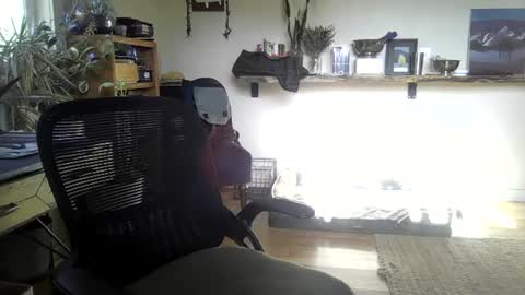 Snapshot of elephantfox chatting on 06/22/26, 02:36 fox online show from 06/22/26, 02:36