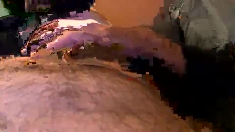 elgato66699 online show from 04/20/26, 04:59