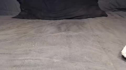 elgsslt online show from 04/04/26, 09:51