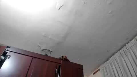 elianis598477 online show from 02/10/26, 10:08