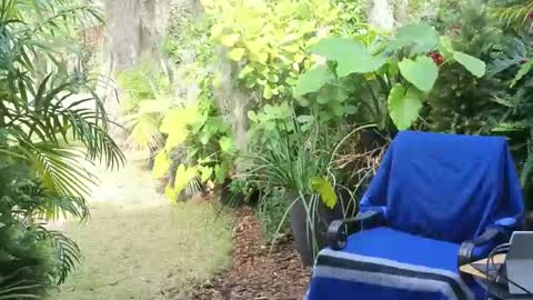 eliberator online show from 01/18/25, 07:58