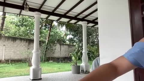 Snapshot of elie_ci chatting on 01/28/25, 07:00 online show from 01/28/25, 07:00