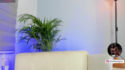 Snapshot of elirpo chatting on 02/20/26, 06:26 Eli online show from 02/20/26, 06:26