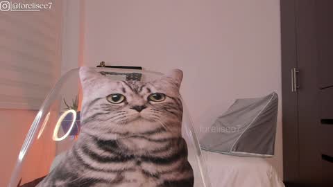 Eli online show from 12/07/24, 07:16