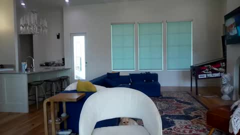 Liz online show from 11/13/25, 07:46