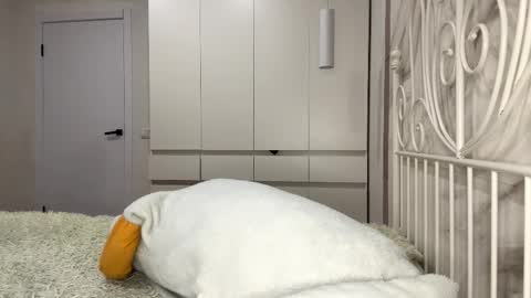 Snapshot of ellettecollins chatting on 01/06/26, 01:04 Rosa online show from 01/06/26, 01:04