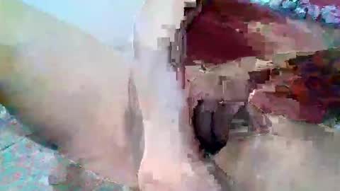 elmario24 online show from 12/01/25, 06:29