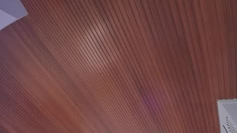 Elodie  online show from 02/14/26, 11:40