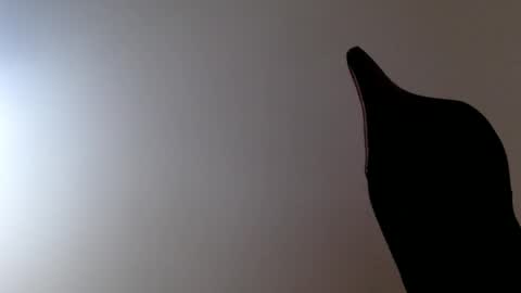 elosocazador online show from 12/19/25, 08:27