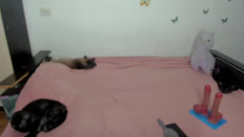 Elsa online show from 05/01/26, 06:23