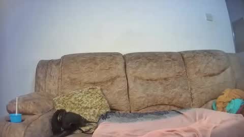 elsie02 online show from 11/18/25, 06:56