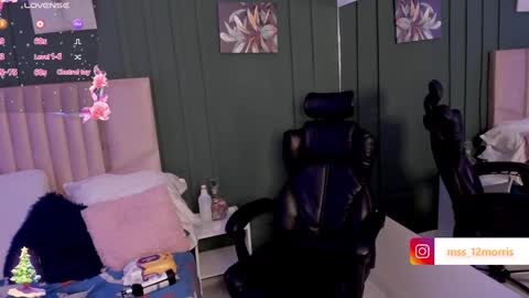 Snapshot of elsiemorriis chatting on 12/13/24, 01:15 ELSIE online show from 12/13/24, 01:15