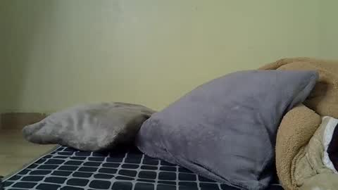 Snapshot of elvier_pretty chatting on 12/20/25, 04:41 flo online show from 12/20/25, 04:41