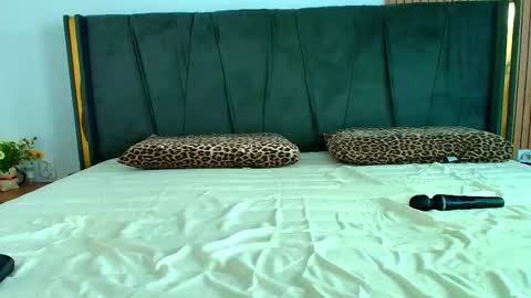 Ely online show from 10/28/25, 07:23