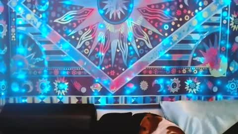 Ember Starleena online show from 02/24/25, 05:31