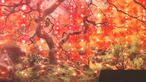 Ember Starleena online show from 09/30/25, 01:49