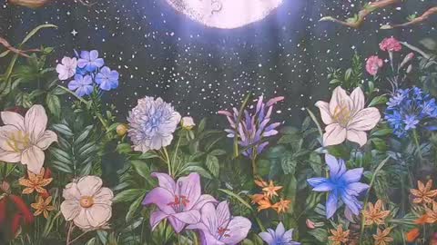 Ember Starleena online show from 07/24/26, 02:37