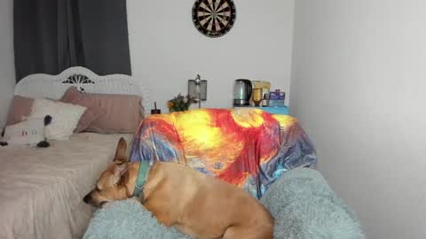 Snapshot of emberpheonixxx chatting on 01/17/25, 03:12 Ember Pheonixxx online show from 01/17/25, 03:12