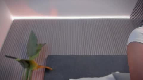 emelie_89 online show from 04/18/26, 11:47