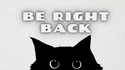 Snapshot of emily_evol chatting on 02/08/26, 11:35 emily_evol online show from 02/08/26, 11:35