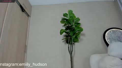 independet model online show from 06/30/26, 09:49
