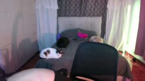 Emily  Swan online show from 04/26/26, 01:47