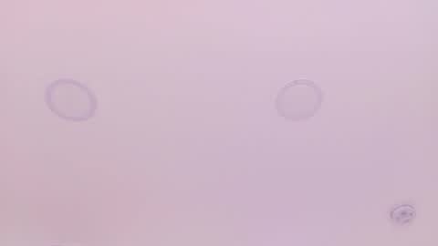 Emily Bank online show from 03/29/26, 07:36