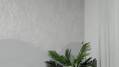 Snapshot of emma_morgann chatting on 02/25/26, 11:20 Emma Morgann online show from 02/25/26, 11:20