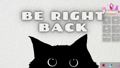   online show from 04/16/26, 11:33