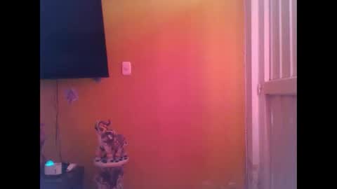 EmmaSplycer online show from 04/20/26, 09:16