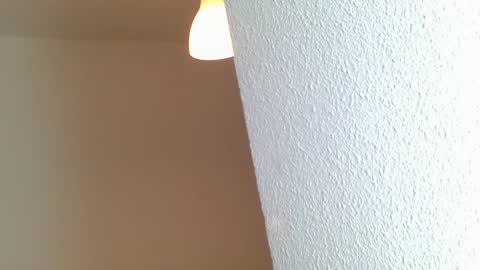 emmie online show from 01/28/25, 08:25