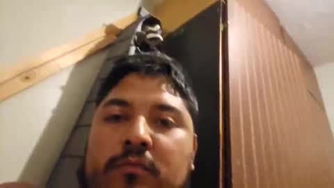 engineer_model_2022 online show from 03/01/26, 04:25