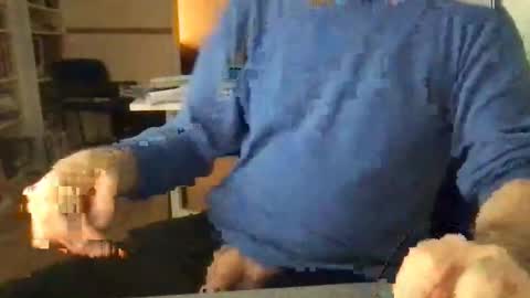 englefield online show from 12/15/24, 07:46