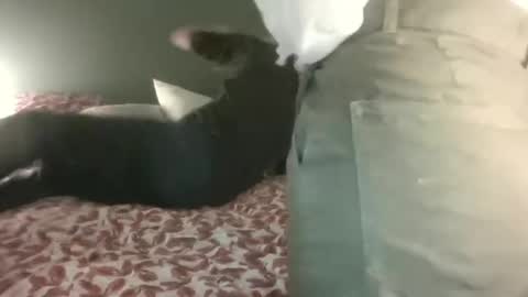 Steph et Eric online show from 02/28/25, 10:06