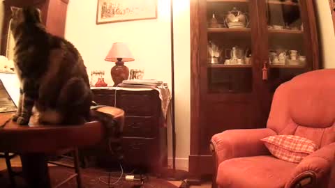 Steph et Eric online show from 11/26/25, 10:05