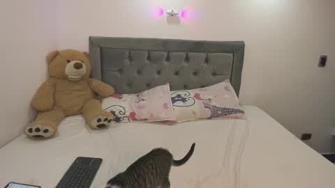 estehefany_gil online show from 01/08/26, 01:08