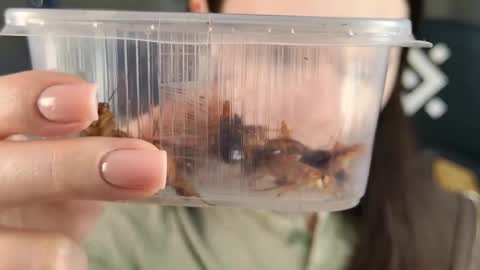 Snapshot of esterhernandes chatting on 02/21/26, 02:07 kelt0901 - my channel in telegra online show from 02/21/26, 02:07