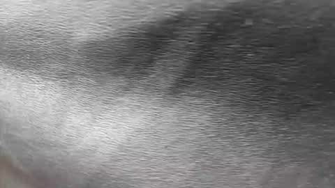 Snapshot of ethan_anavrin chatting on 11/30/25, 06:56 greetings sergi online show from 11/30/25, 06:56