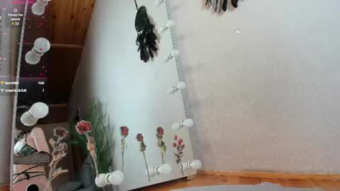 Snapshot of euphoria_life chatting on 07/22/26, 03:59 Molly online show from 07/22/26, 03:59
