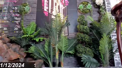 Snapshot of eva_coluccy chatting on 12/12/24, 04:21 EVA COLUCCY online show from 12/12/24, 04:21