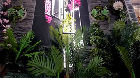 Snapshot of eva_coluccy chatting on 01/07/25, 03:44 EVA COLUCCY online show from 01/07/25, 03:44